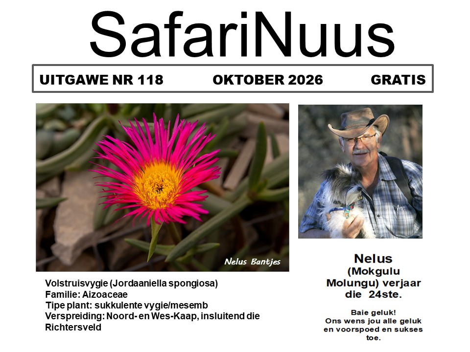 2026 OKTOBER 2026 NUUSBRIEF